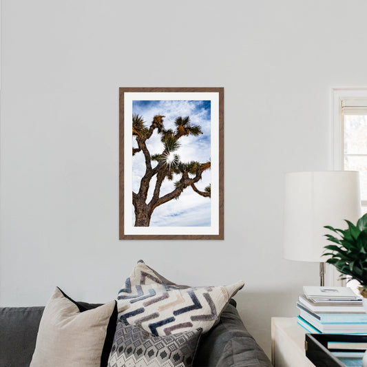 Joshua Tree National Park Starburst Vertical