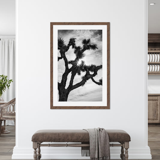 Joshua Tree Starburst Black and White Vertical
