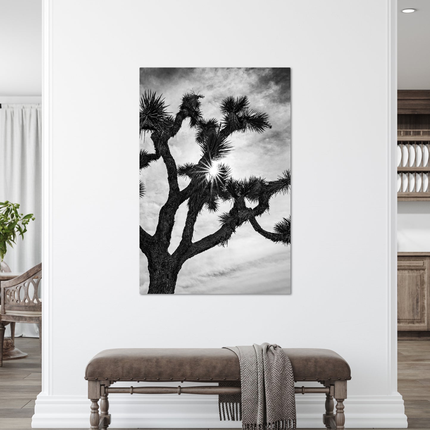 Joshua Tree Starburst Black and White Vertical