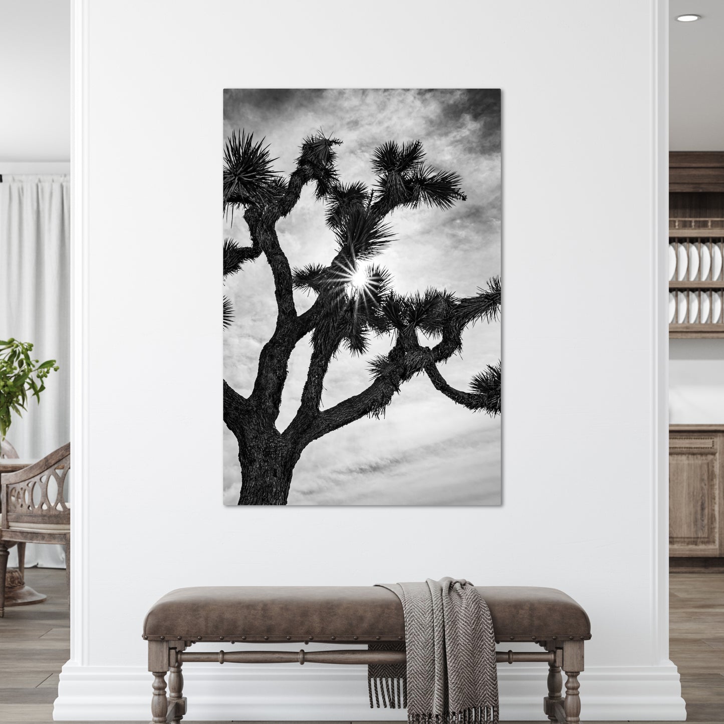 Joshua Tree Starburst Black and White Vertical