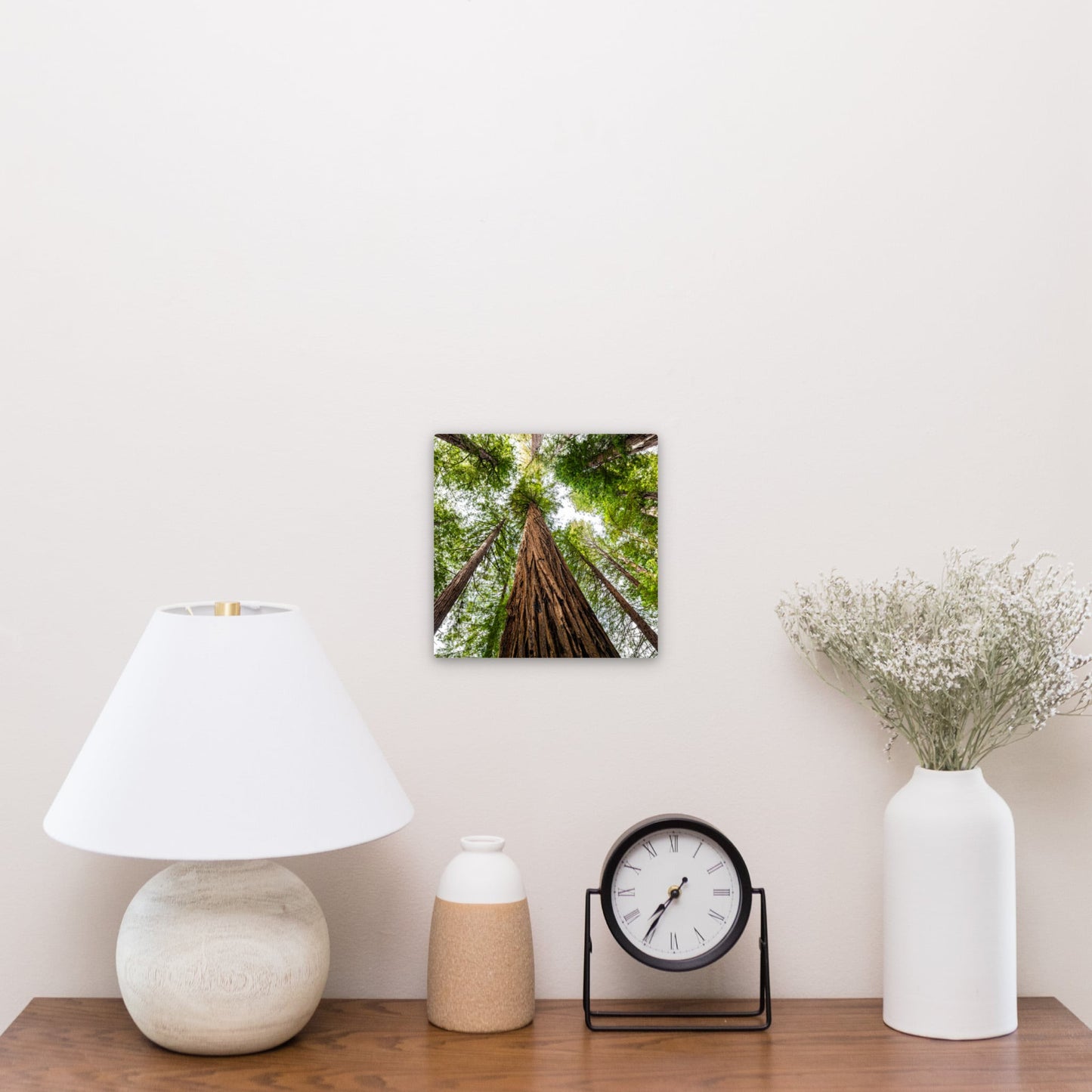 Giant Redwood Canopy Square