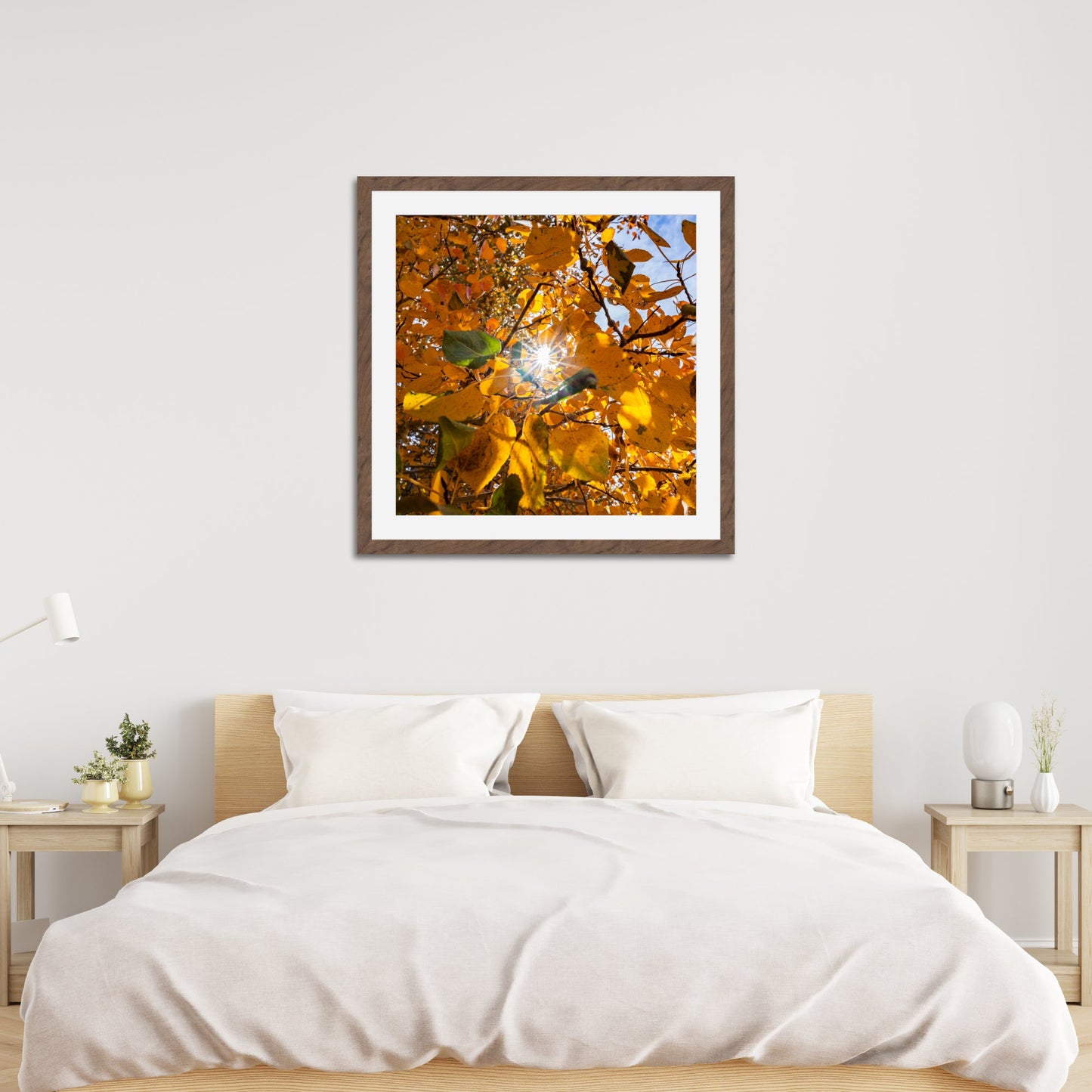 Fall Foliage Starburst Square - Frey Wall Art