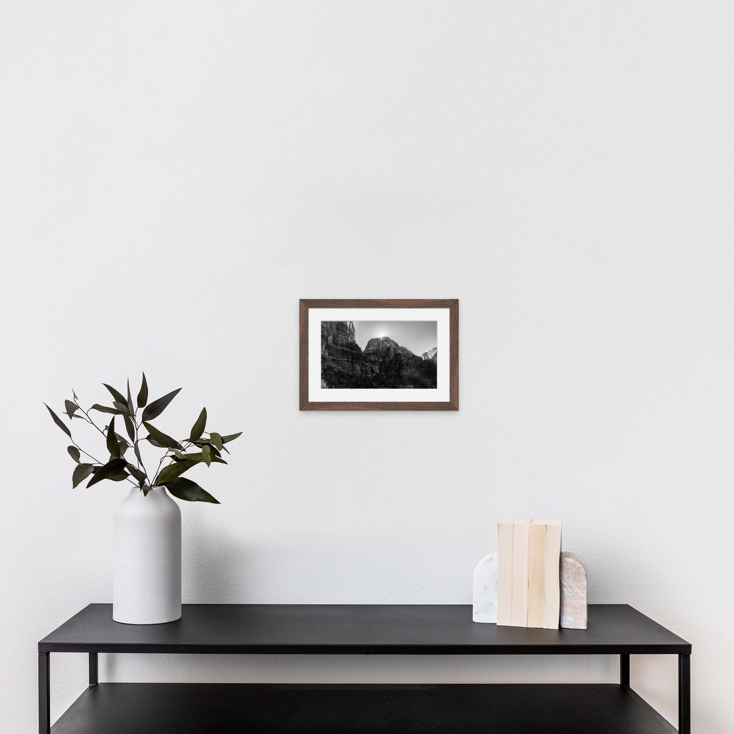 Zion National Park Starburst Black and White - Frey Wall Art