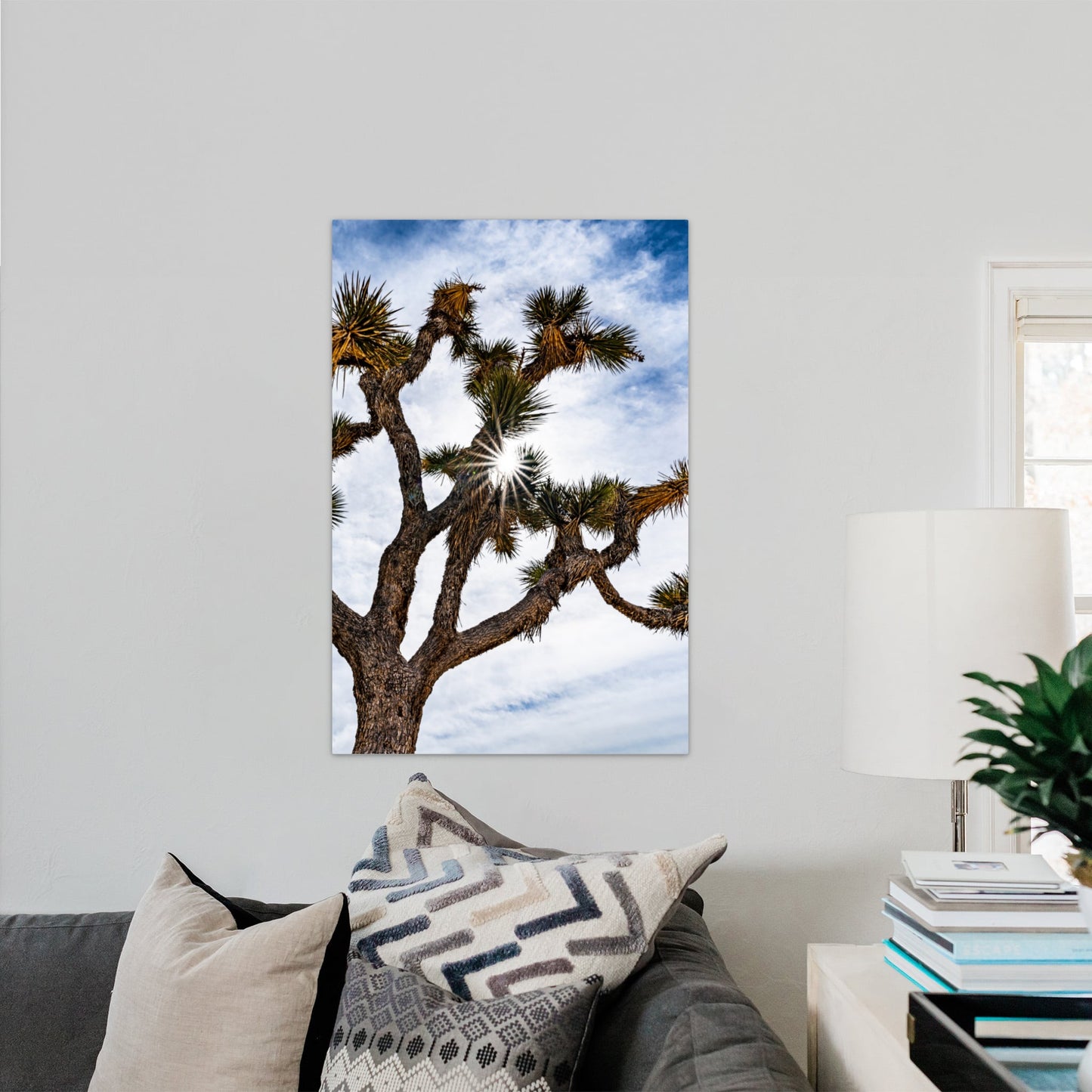 Joshua Tree National Park Starburst Vertical