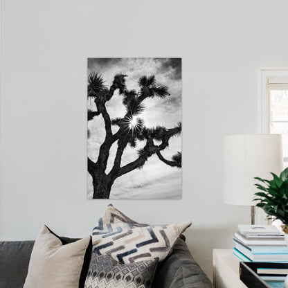 Joshua Tree Starburst Black and White Vertical