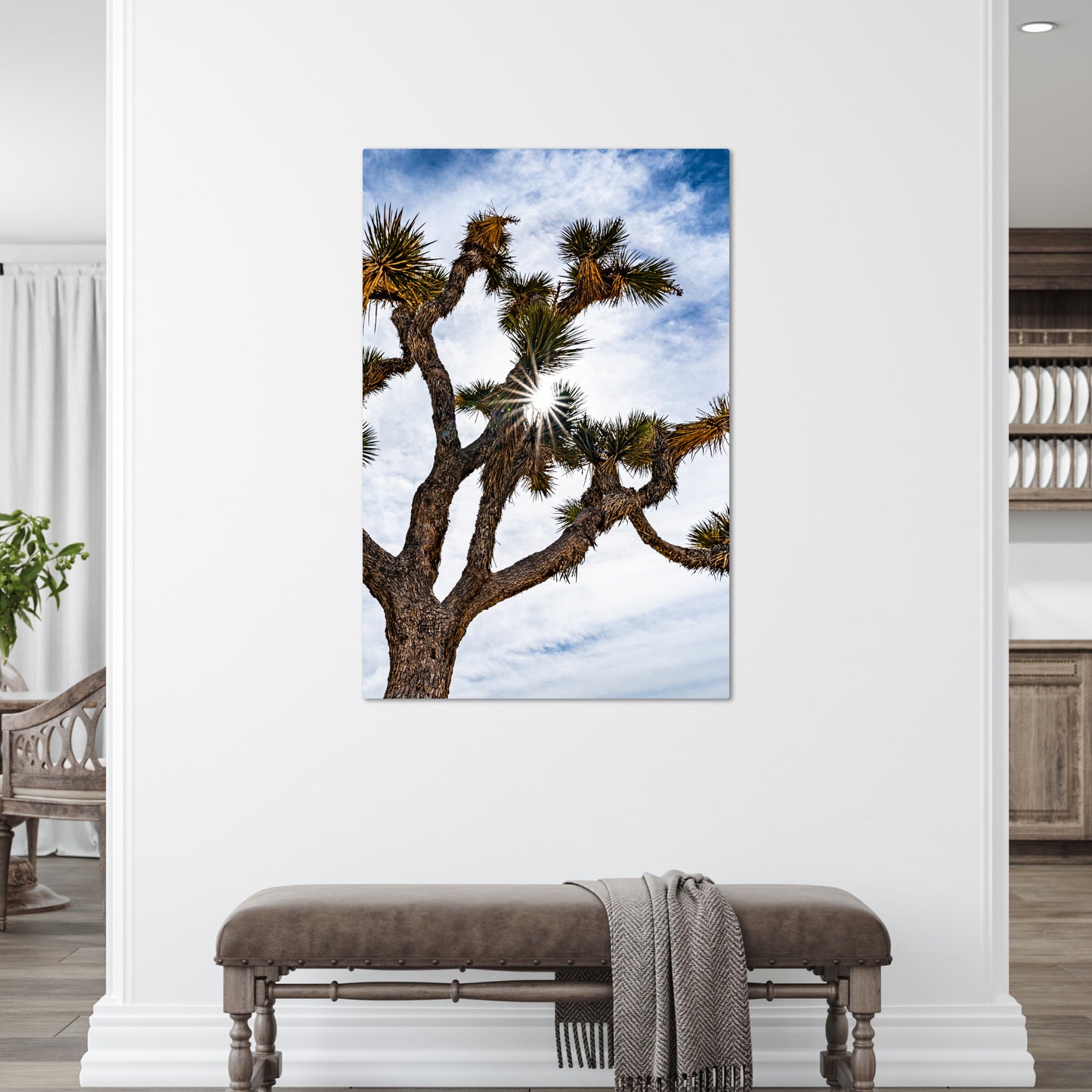Joshua Tree National Park Starburst Vertical