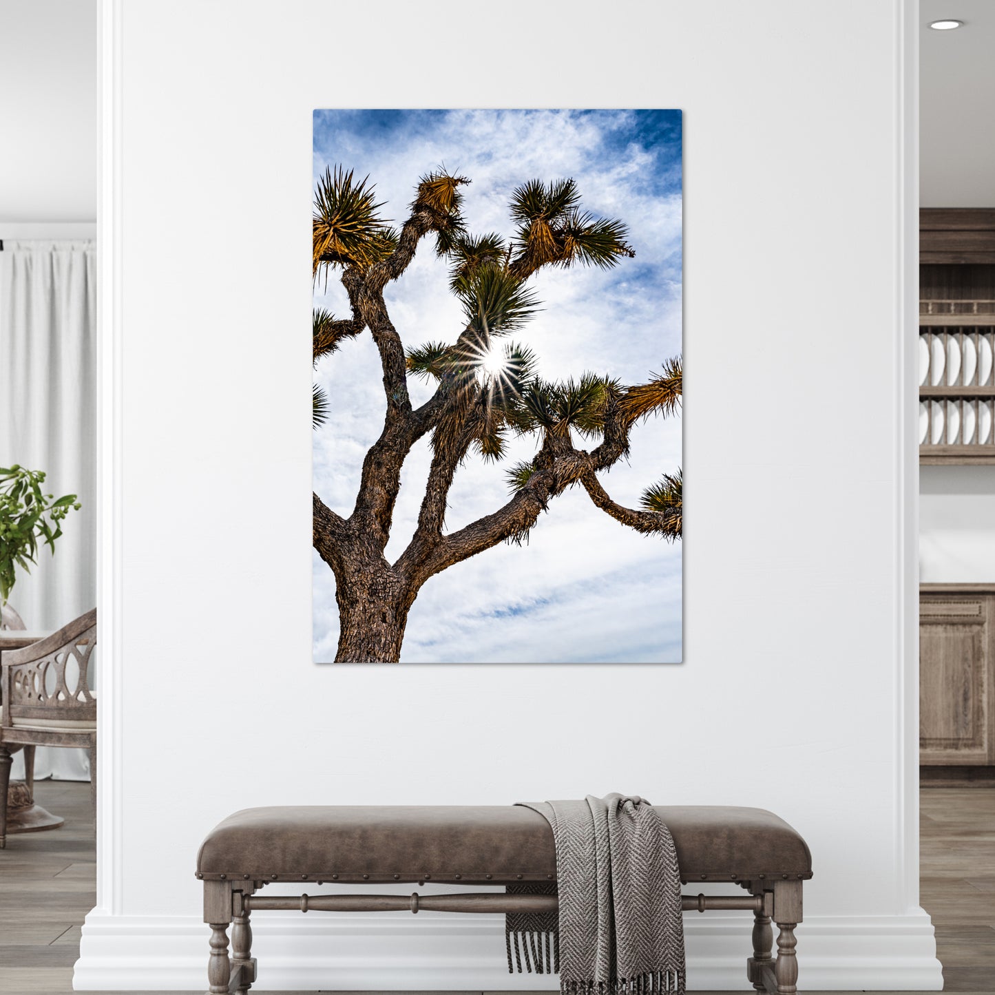Joshua Tree National Park Starburst Vertical