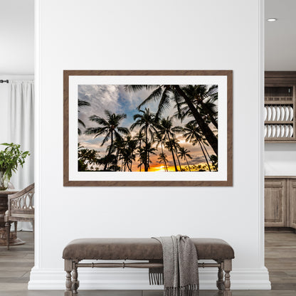Hawaii Resort Palms