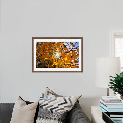 Fall Foliage Starburst - Frey Wall Art