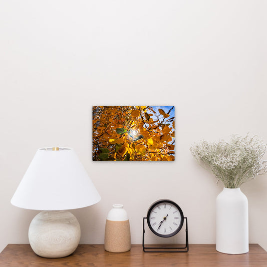 Fall Foliage Starburst - Frey Wall Art