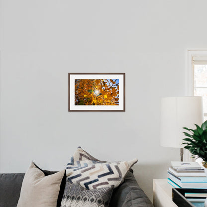 Fall Foliage Starburst - Frey Wall Art