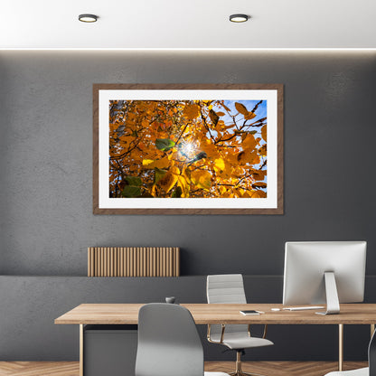 Fall Foliage Starburst - Frey Wall Art