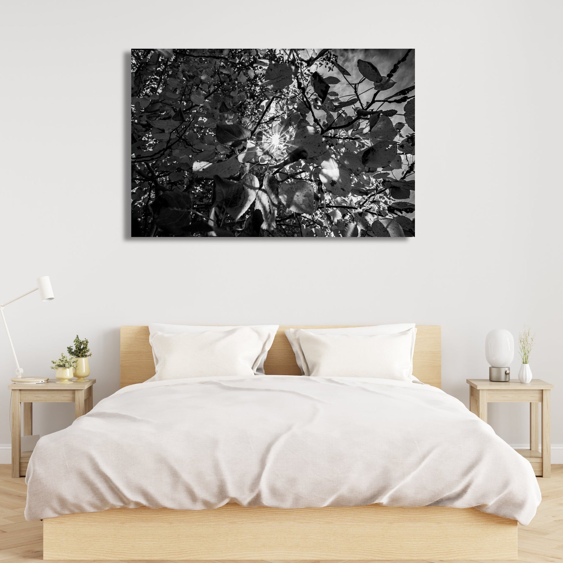 Fall Foliage Starburst Black and White Fine Art Photography Print - Frey Wall Art