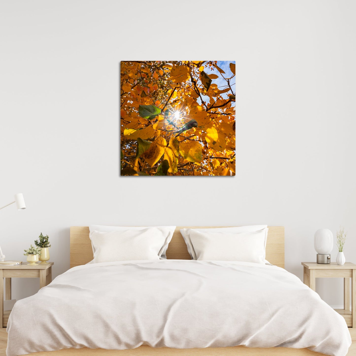 Fall Foliage Starburst Square - Frey Wall Art