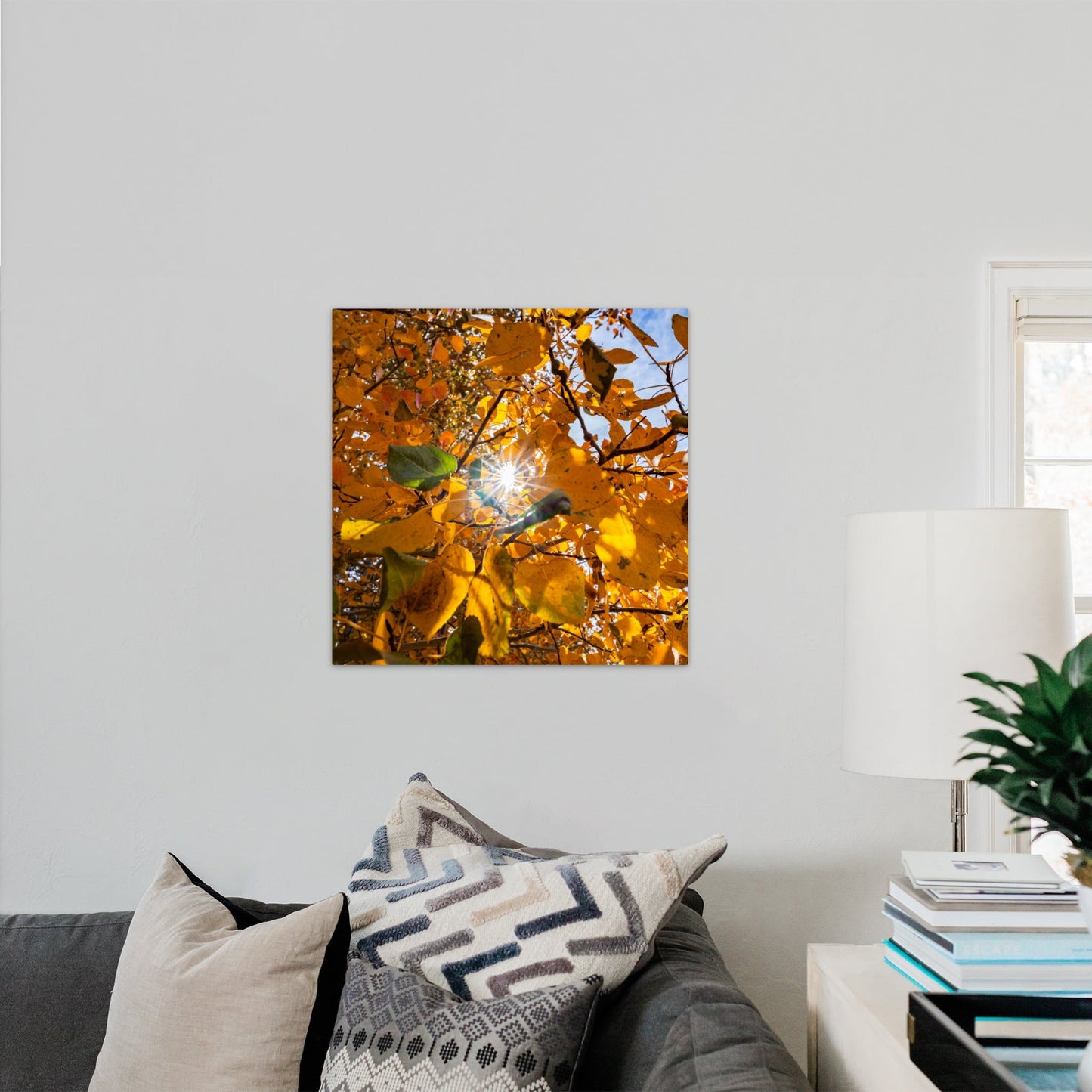 Fall Foliage Starburst Square - Frey Wall Art