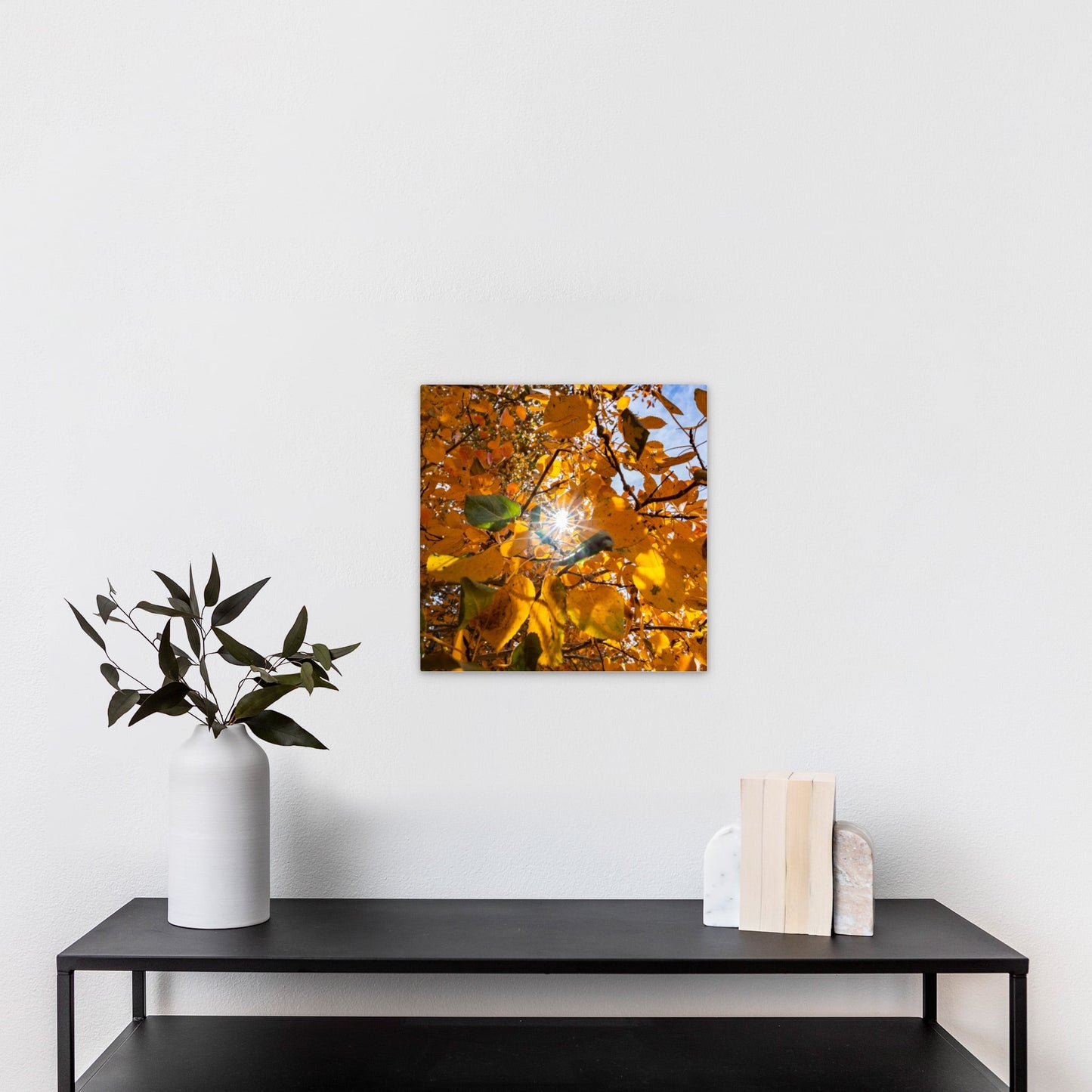 Fall Foliage Starburst Square - Frey Wall Art
