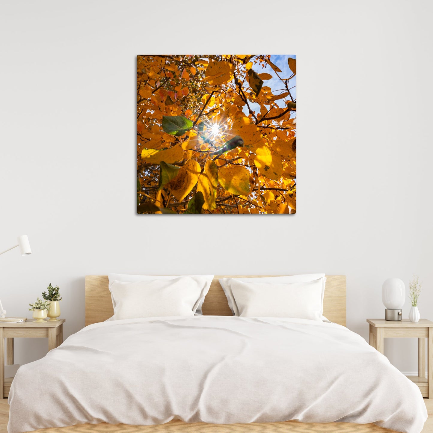 Fall Foliage Starburst Square - Frey Wall Art