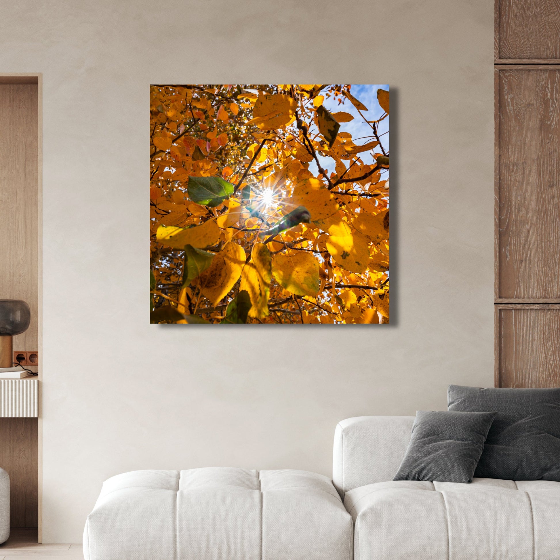 Fall Foliage Starburst Square Fine Art Photography Print - Frey Wall Art