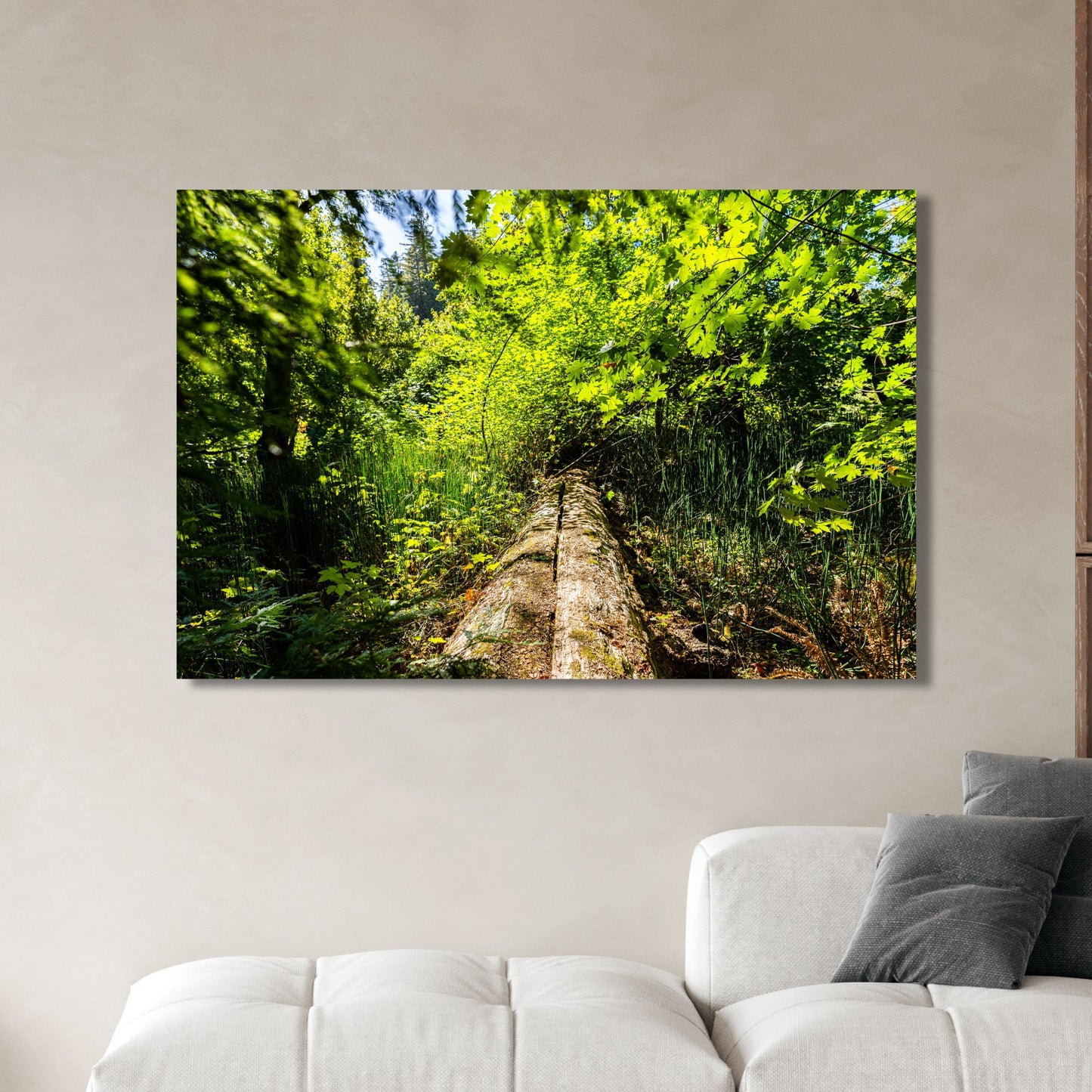 Fallen Redwood Bridge Fine Art Photography Print - Frey Wall Art