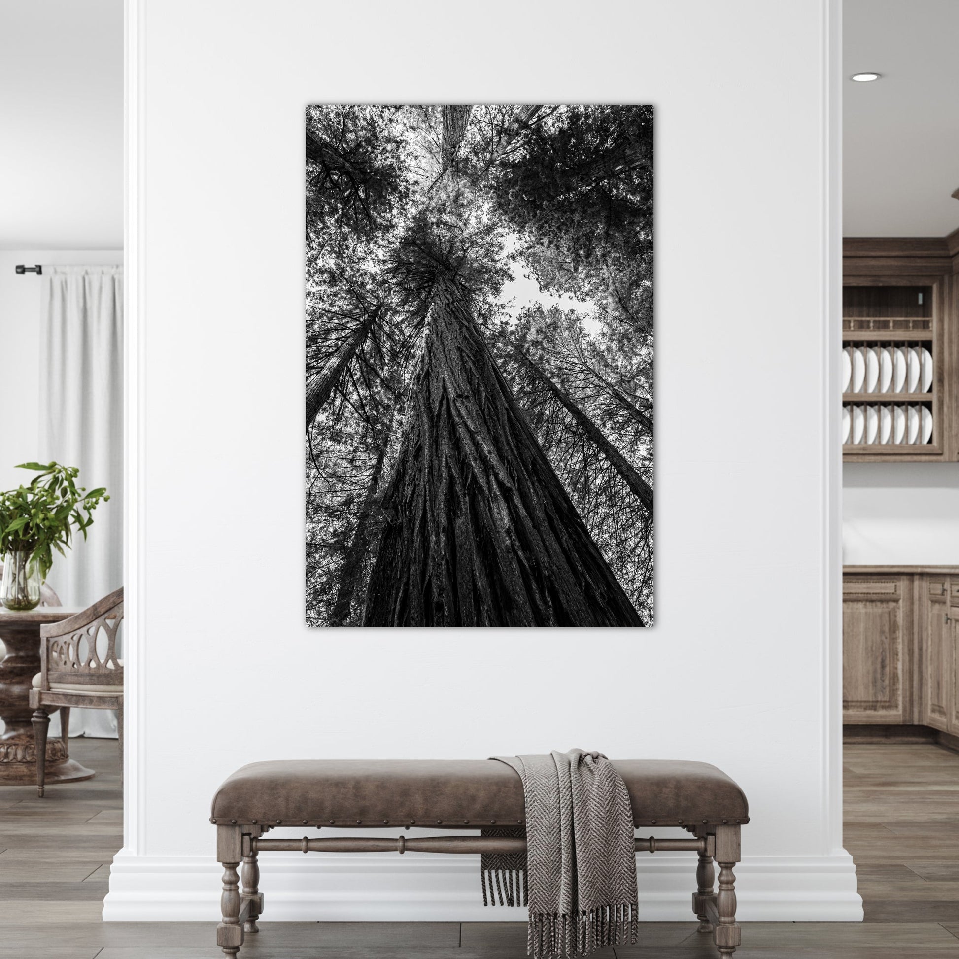 Giant Redwood Black and White Vertical Fine Art Photography Print - Frey Wall Art