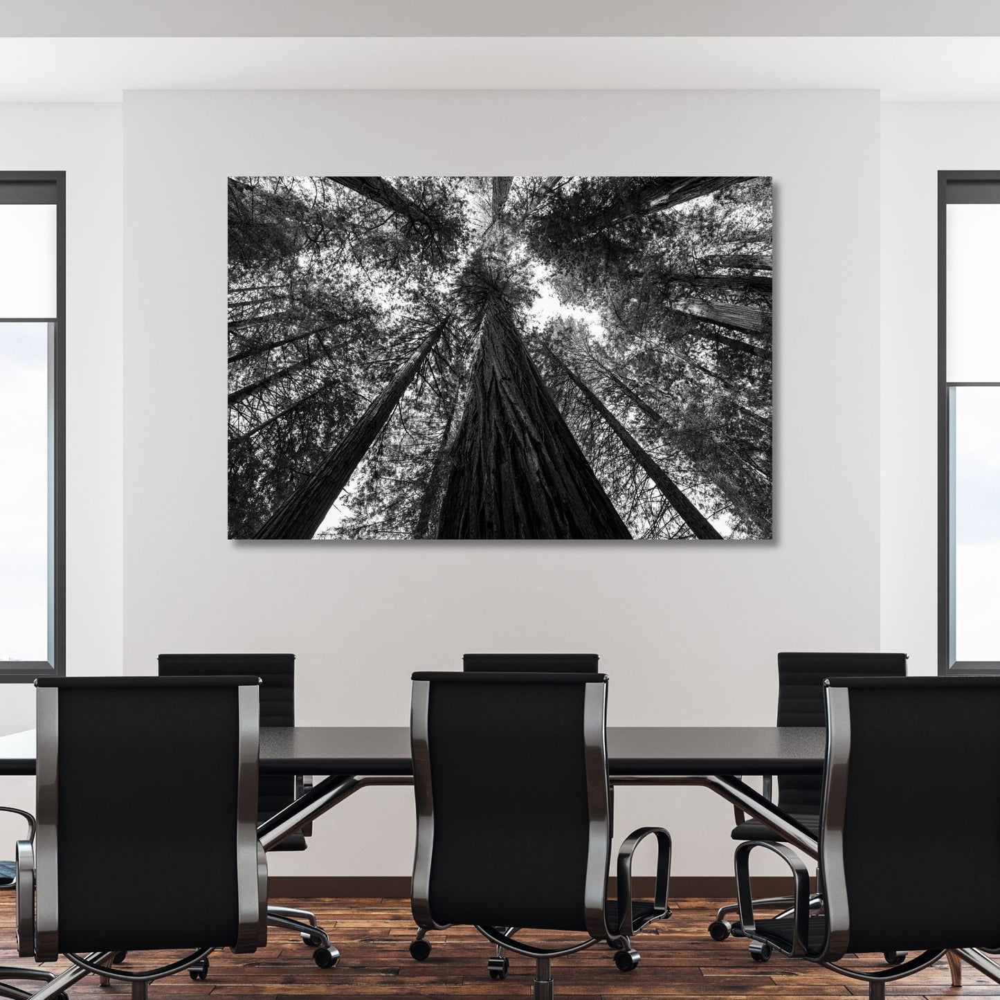 Giant Redwood Canopy Black and White Fine Art Photography Print - Frey Wall Art