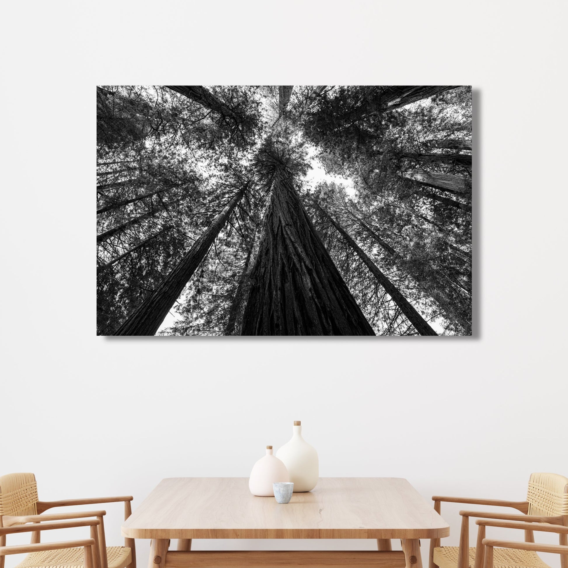 Giant Redwood Canopy Black and White Fine Art Photography Print - Frey Wall Art