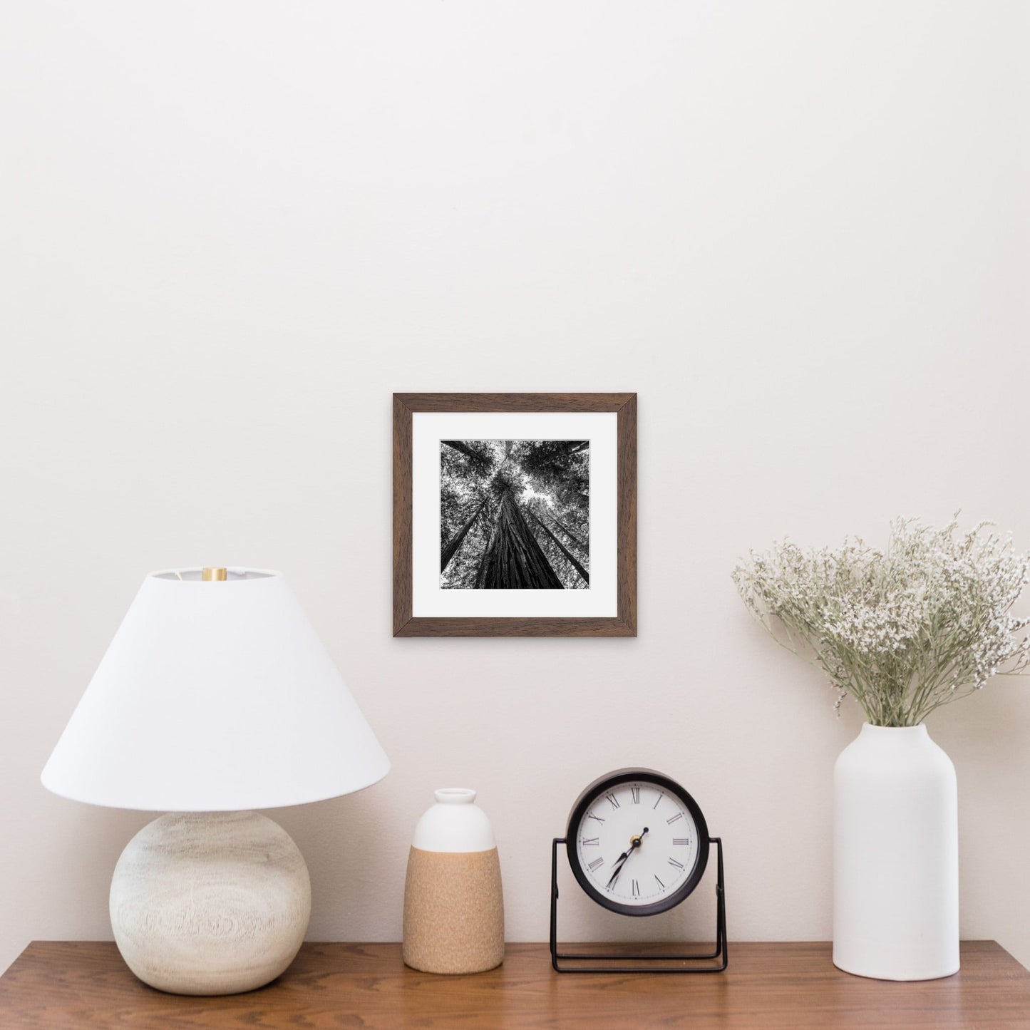 Giant Redwood Canopy Black and White Square - Frey Wall Art
