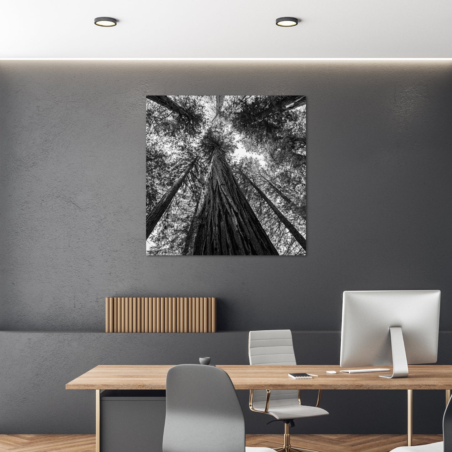 Giant Redwood Canopy Black and White Square - Frey Wall Art