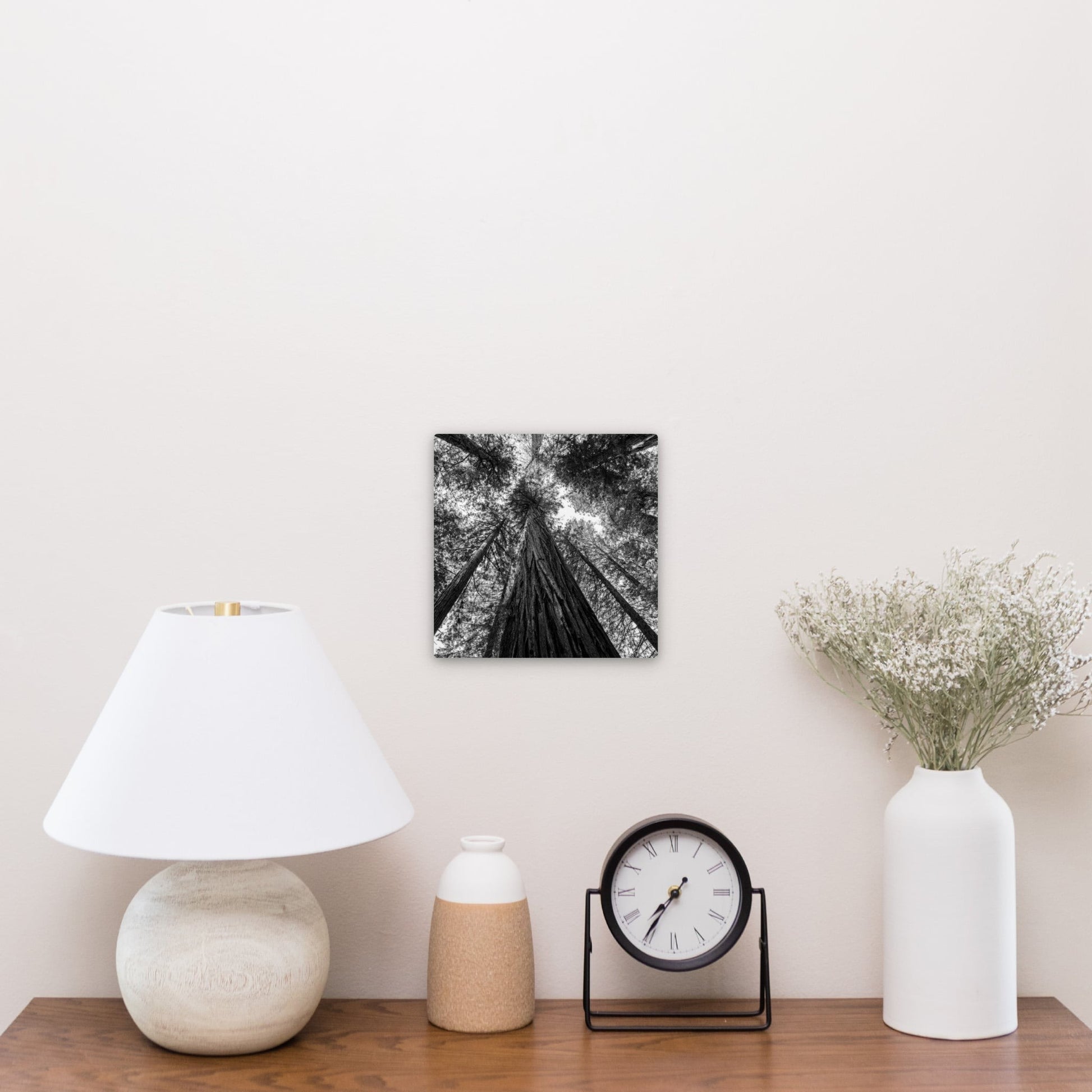 Giant Redwood Canopy Black and White Square - Frey Wall Art