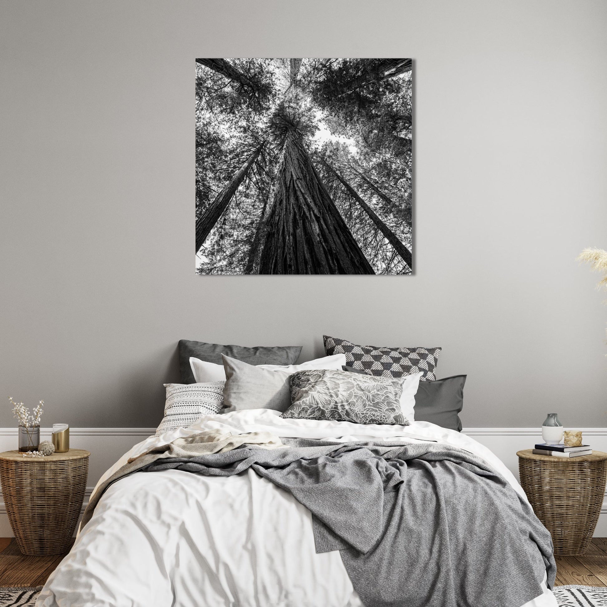 Giant Redwood Canopy Black and White Square Fine Art Photography Print - Frey Wall Art