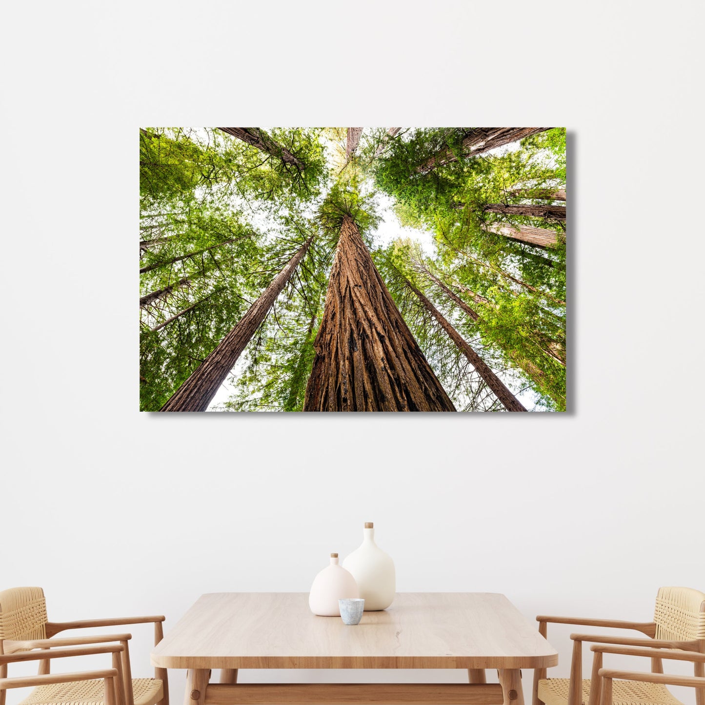 Giant Redwood Canopy Fine Art Photography Print - Frey Wall Art