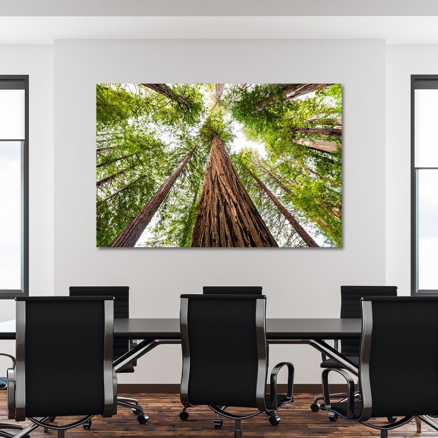 Giant Redwood Canopy Fine Art Photography Print - Frey Wall Art