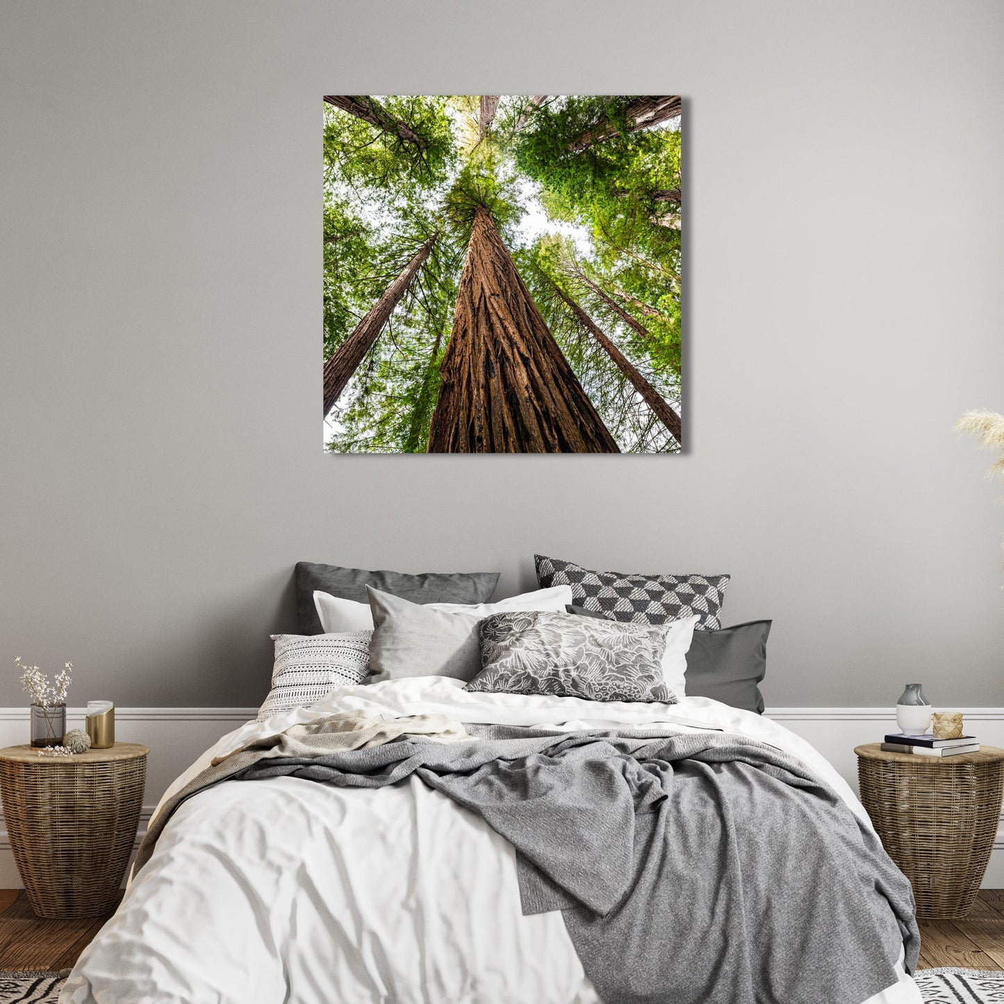 Giant Redwood Canopy Square Fine Art Photography Print - Frey Wall Art