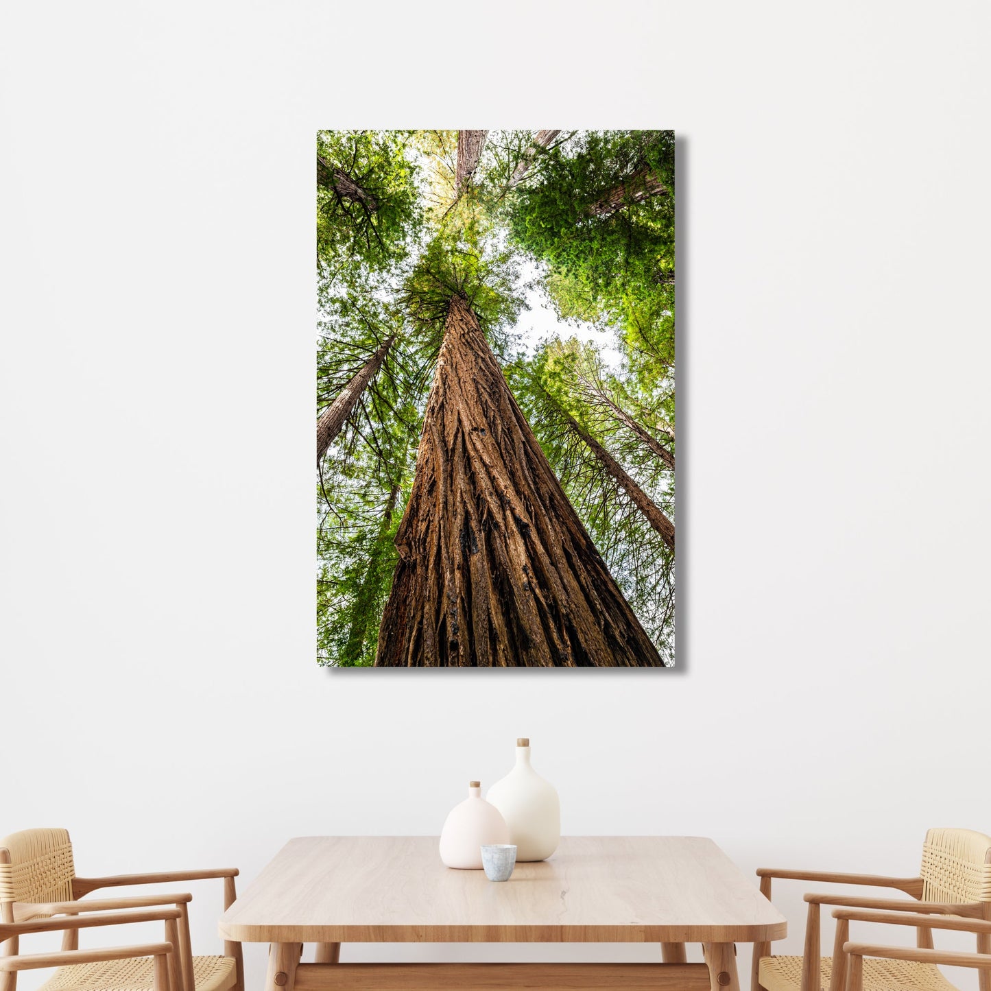 Giant Redwood Canopy Vertical Fine Art Photography Print - Frey Wall Art