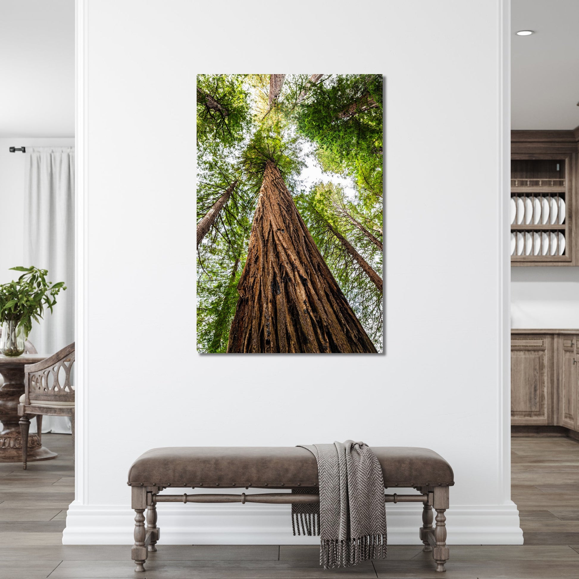 Giant Redwood Canopy Vertical Fine Art Photography Print - Frey Wall Art