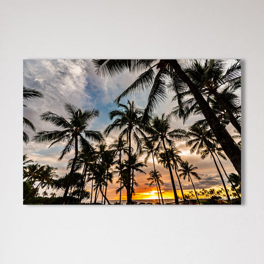 Hawaii Resort Palms Fine Art Photography Print - Frey Wall Art