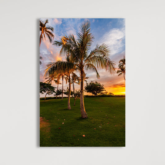 Hawaii Sunset Palm Vertical Fine Art Photography Print - Frey Wall Art