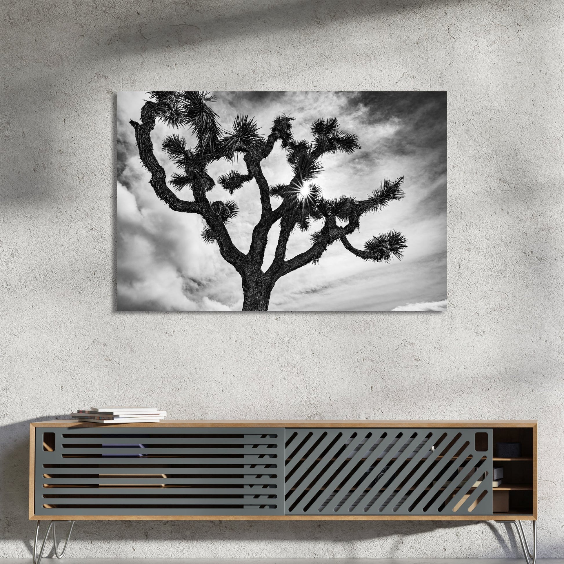 Joshua Tree National Park Starburst Black and White Fine Art Photography Print - Frey Wall Art