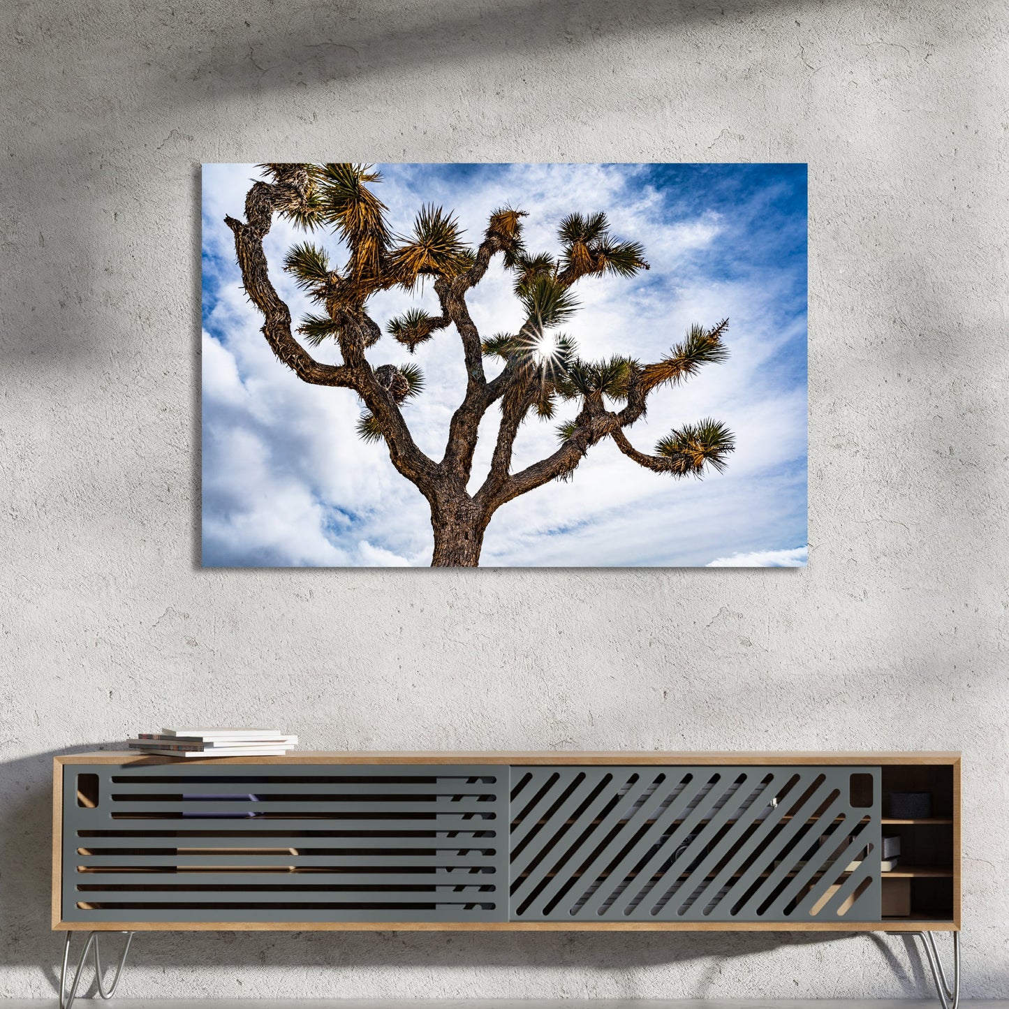 Joshua Tree National Park Starburst Fine Art Photography Print - Frey Wall Art