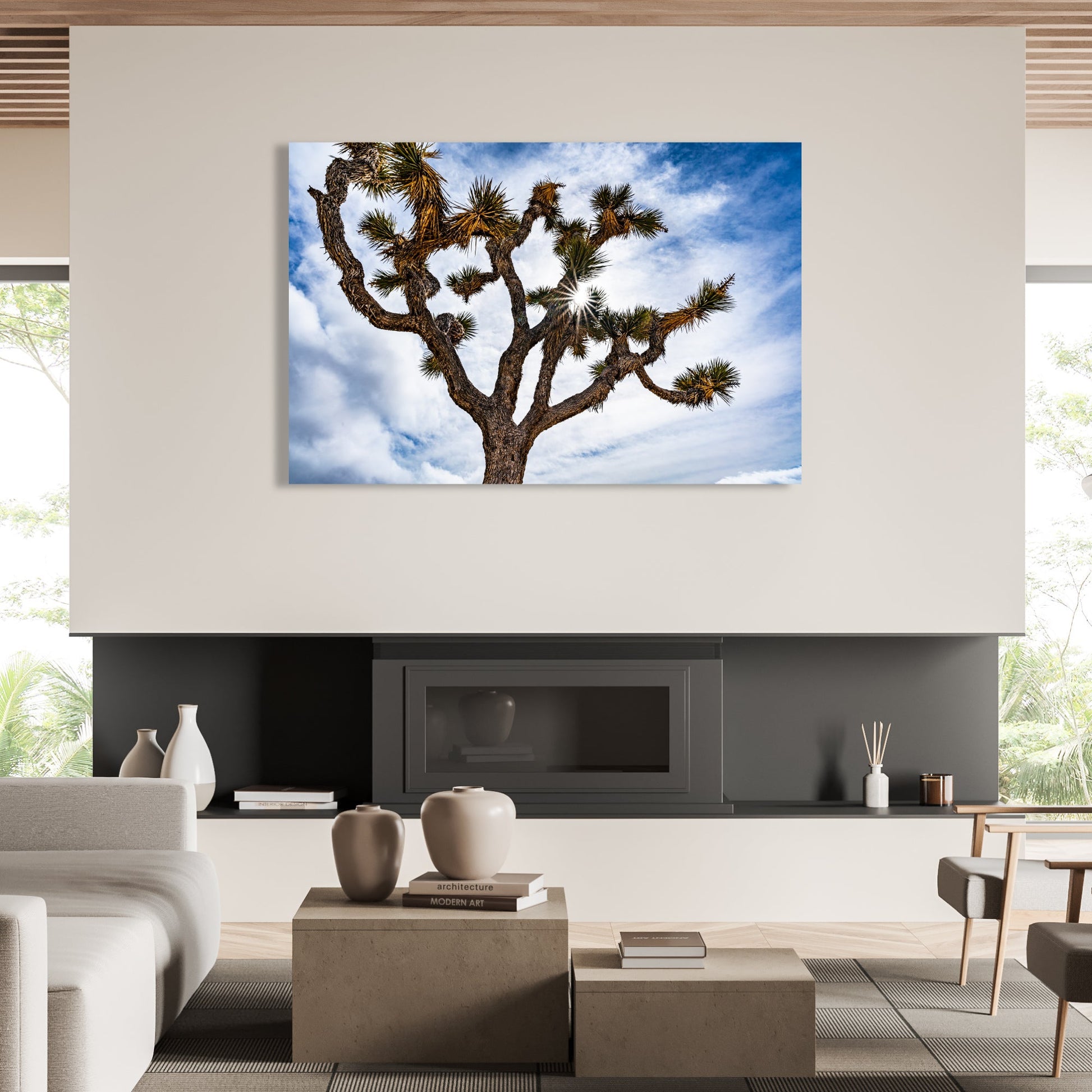 Joshua Tree National Park Starburst Fine Art Photography Print - Frey Wall Art