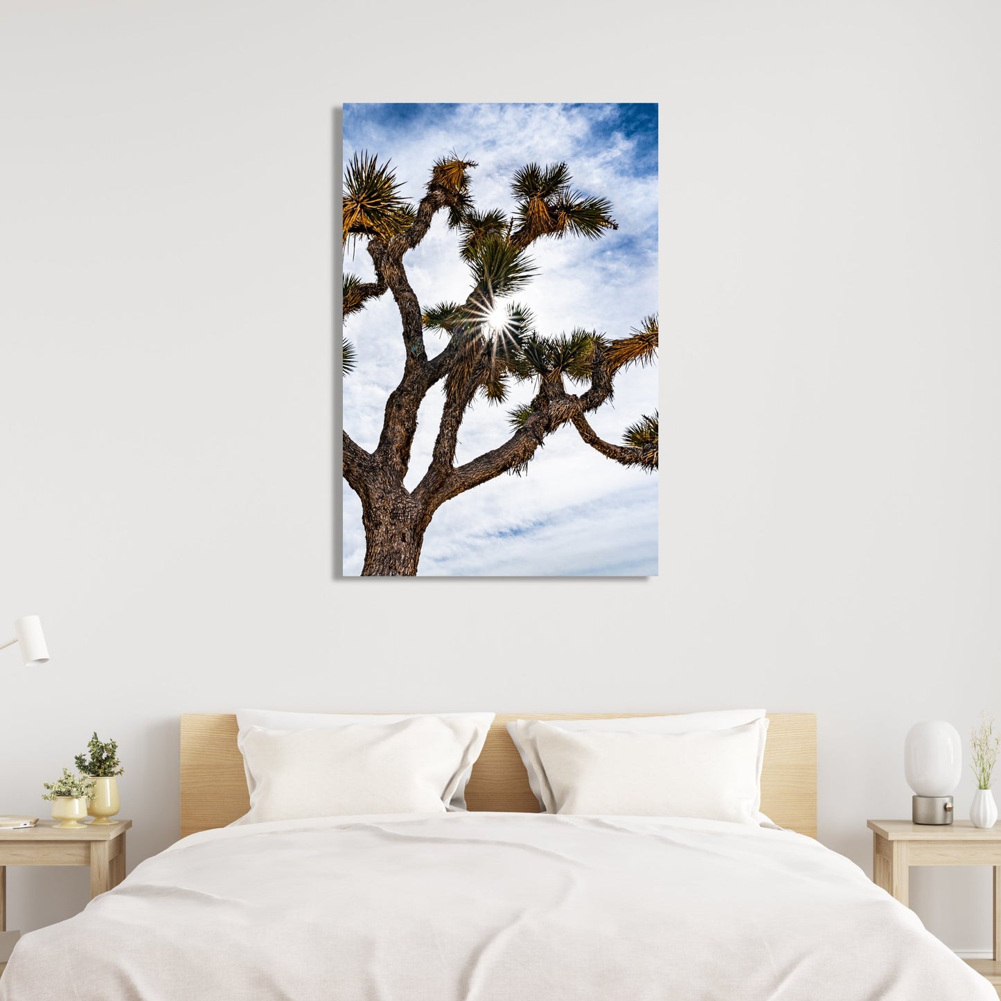 Joshua Tree National Park Starburst Vertical Fine Art Photography Print - Frey Wall Art