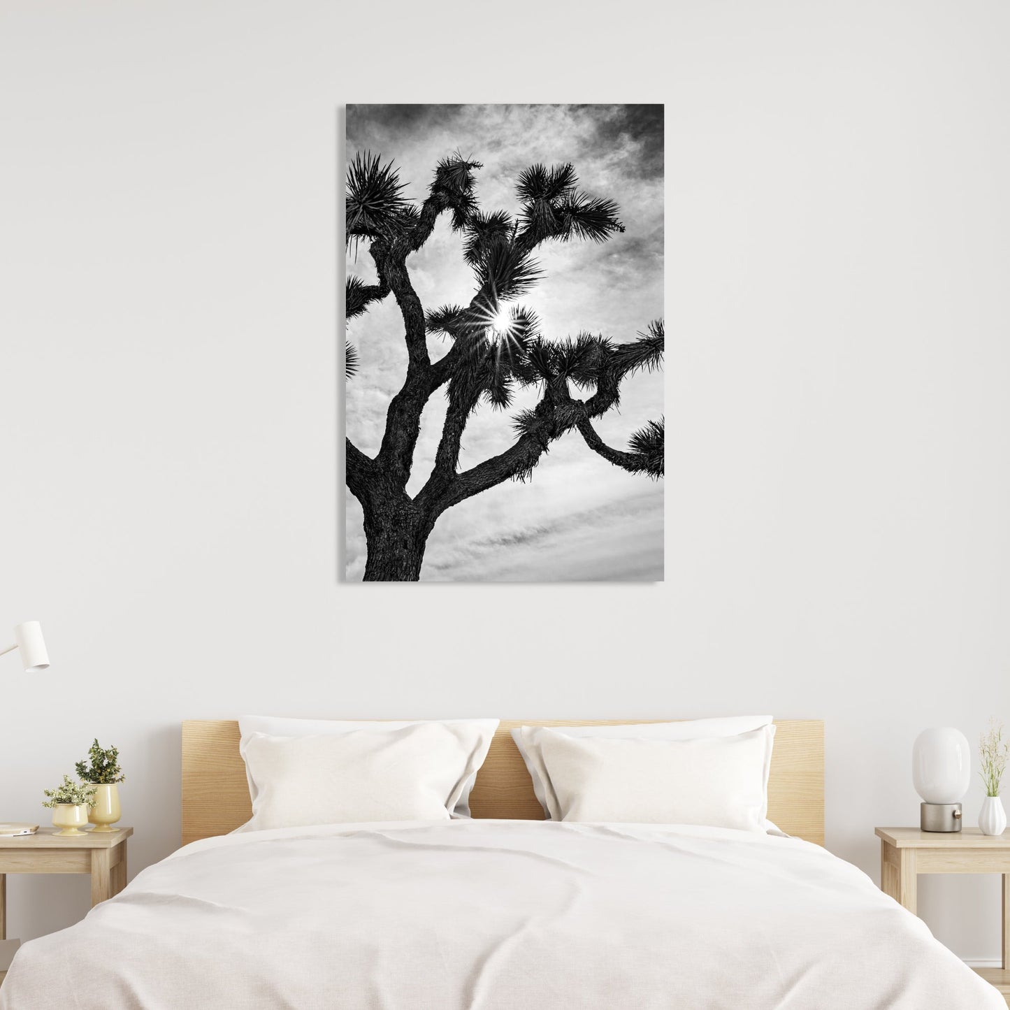 Joshua Tree Starburst Black and White Vertical Fine Art Photography Print - Frey Wall Art