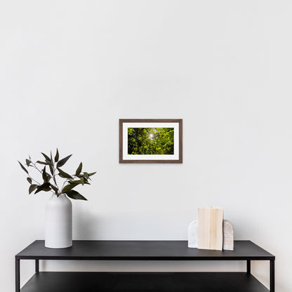 Lush Forest Foliage - Frey Wall Art