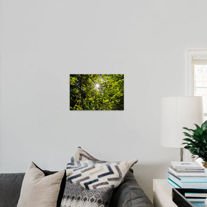 Lush Forest Foliage - Frey Wall Art