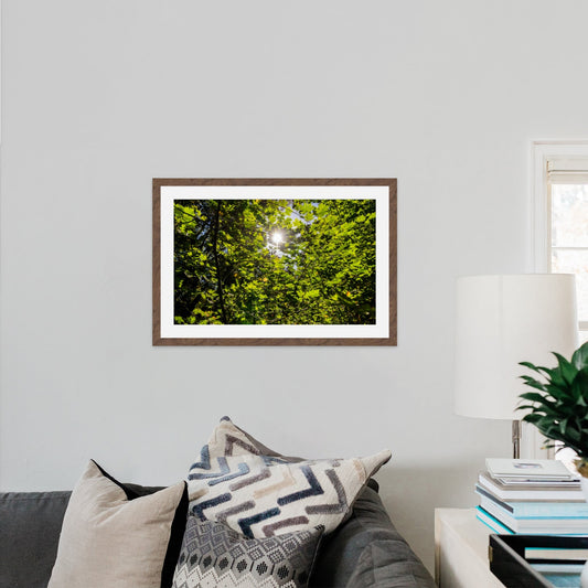 Lush Forest Foliage - Frey Wall Art
