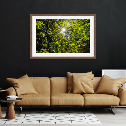 Lush Forest Foliage - Frey Wall Art