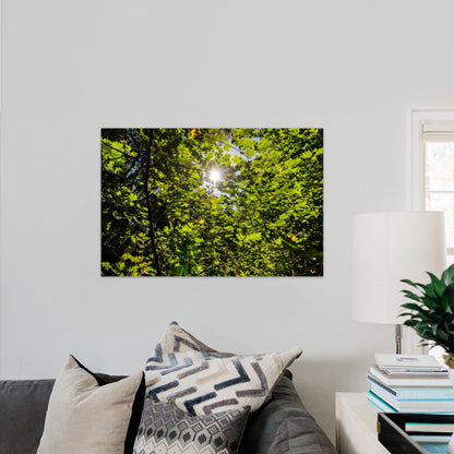Lush Forest Foliage - Frey Wall Art