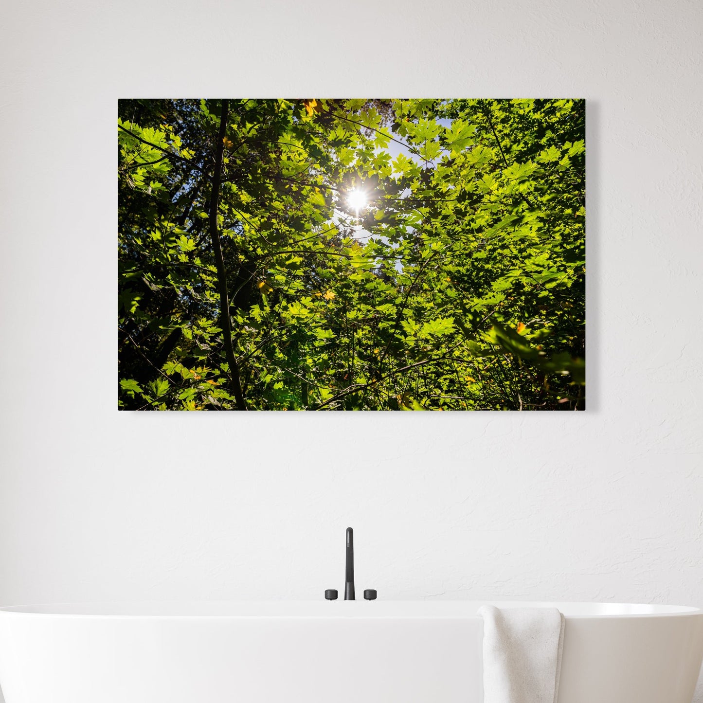 Lush Forest Foliage Fine Art Photography Print - Frey Wall Art