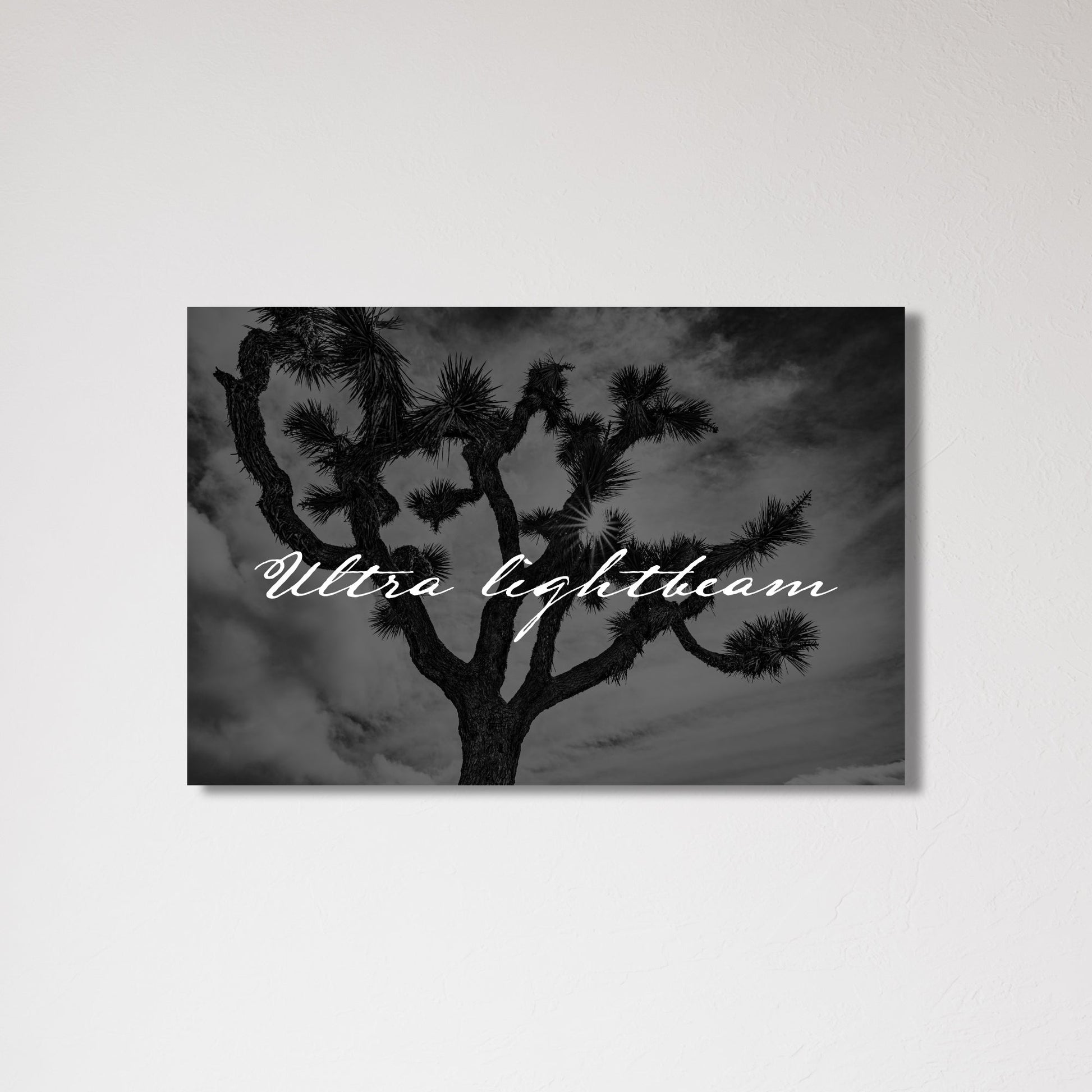 Ultra Lightbeam Joshua Tree Black and White Faith Fine Art Print - Frey Wall Art