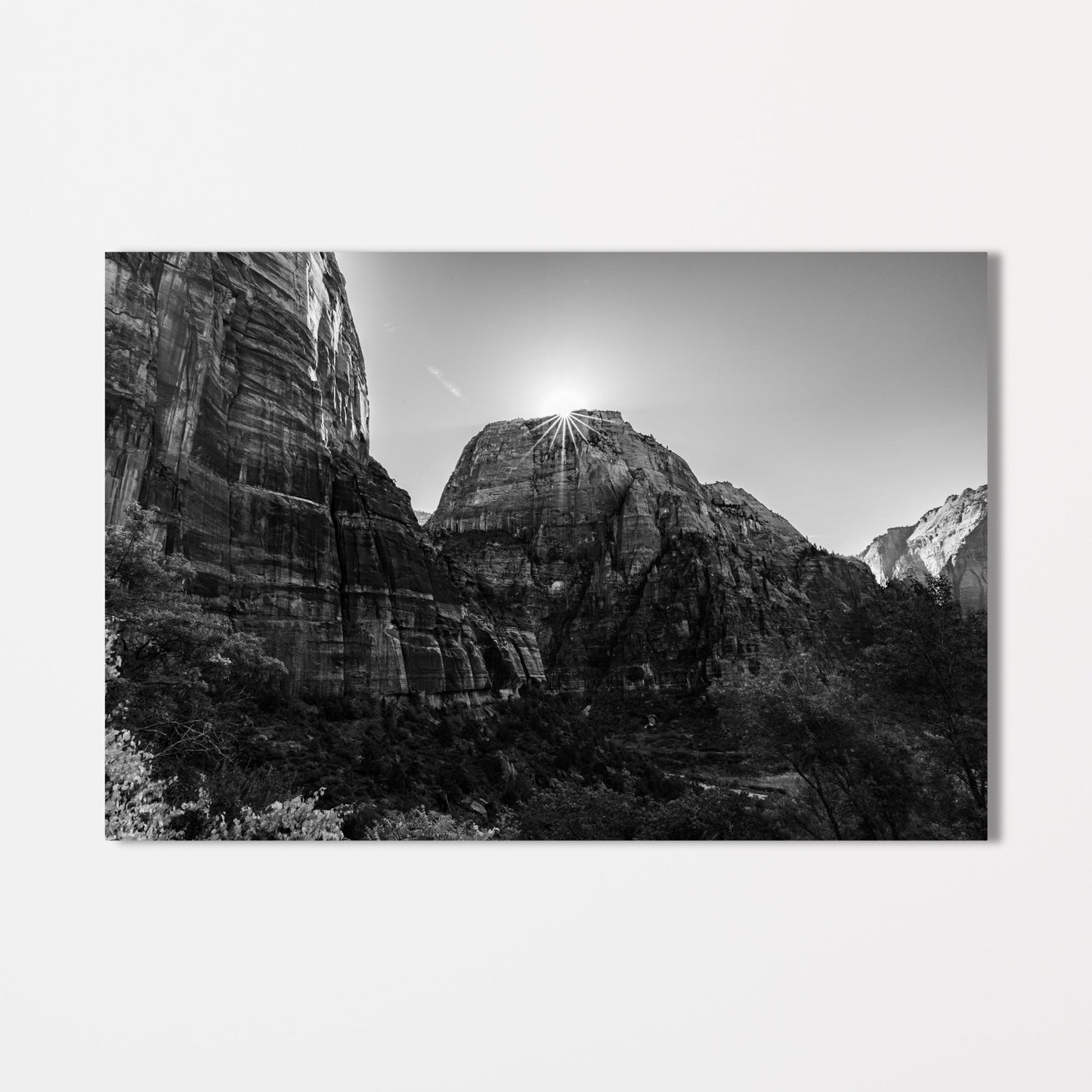 Zion National Park Starburst Black and White Fine Art Photography Print - Frey Wall Art